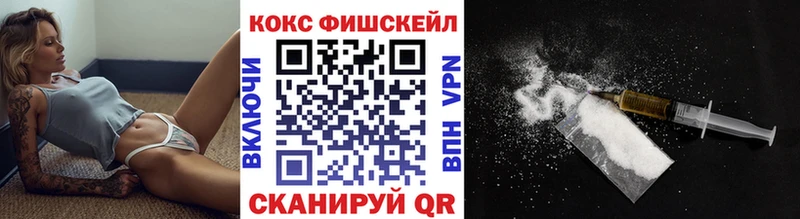 как найти Можга Cocaine FishScale