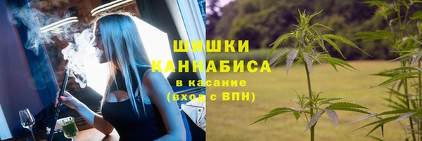 прущие грибы Горно-Алтайск