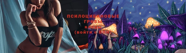 PSILOCYBIN Костерёво
