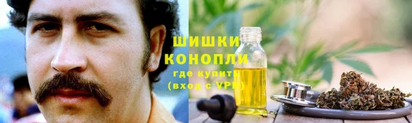 прущие грибы Горно-Алтайск
