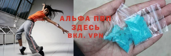 прущие грибы Горно-Алтайск