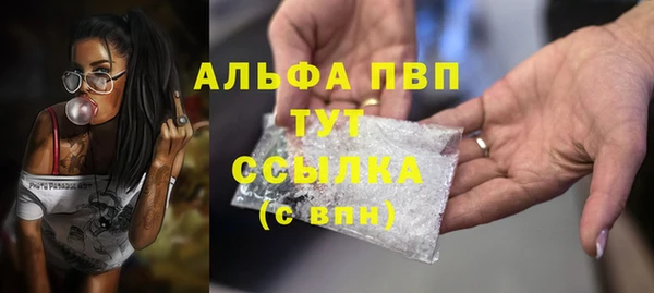 прущие грибы Горно-Алтайск