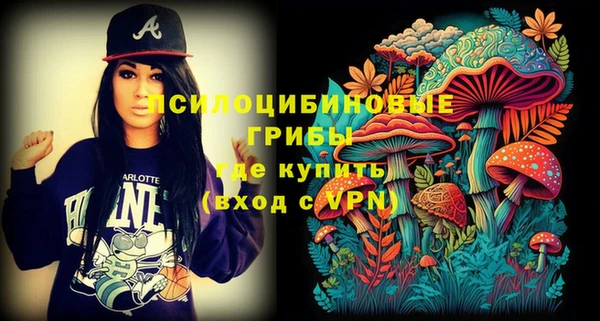 2c-b Горняк