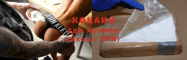 прущие грибы Горно-Алтайск