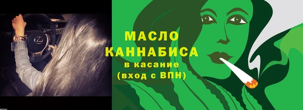 2c-b Горняк