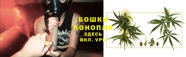 2c-b Горняк
