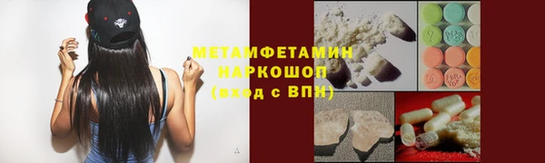 прущие грибы Горно-Алтайск