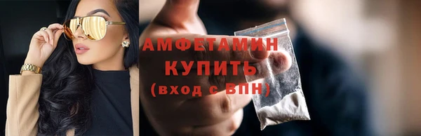 прущие грибы Горно-Алтайск