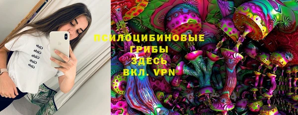 гидропоника Горнозаводск