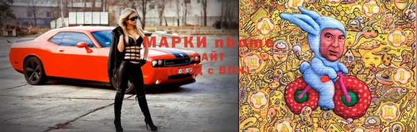 прущие грибы Горно-Алтайск