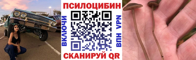 Галлюциногенные грибы прущие грибы MEGA Можга