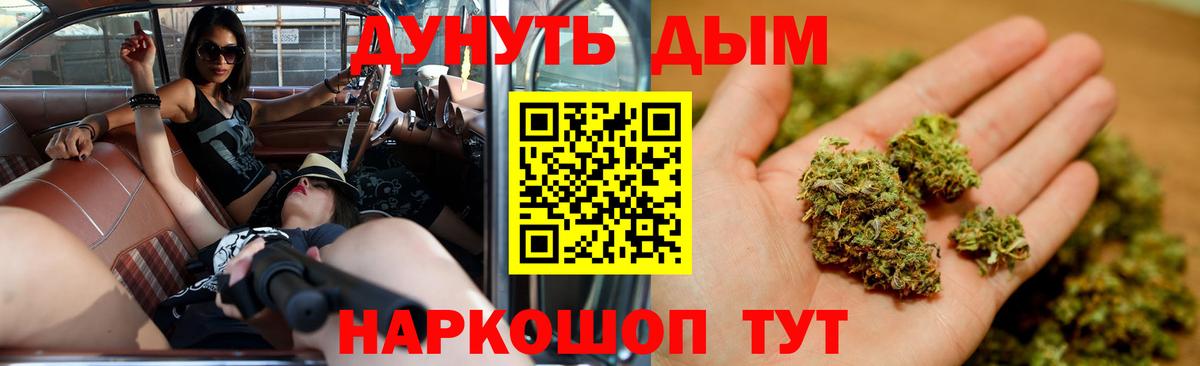 Каннабис индика Можга